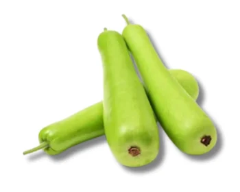 Lau (Bottle Gourd) Per Piece