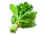Palong Shak (Spinach) Per Piece
