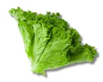 Salad Pata (Lettuce) Local (500gm)
