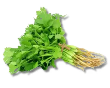 Dhoniapata (Coriander Leaf) Local) per 1kg