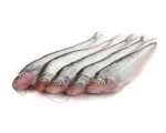 Pabda Fresh Local Cultured (30-40 Pcs/kg)per 1kg