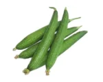 668d1a2a6465c458a3e0fba8_Dhundul-Sponge-Gourd_1 (1)