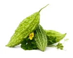 668d1a2b6465c458a3e0fbc1_Korolla-Bitter-Gourd-Long_1