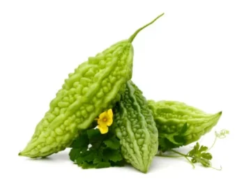 Korolla (Bitter Gourd Long)per 1kg