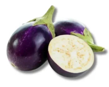 Begun Gol-Beguni (Brinjal Round) per 1kg