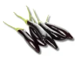 Lomba Begun-Beguni (Brinjal Long)1kg