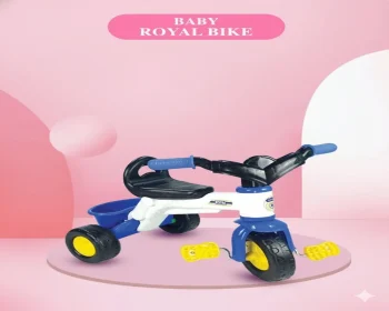 RFL Royal Bike