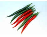 Green/Red Shimla Chili (Long)per 1kg