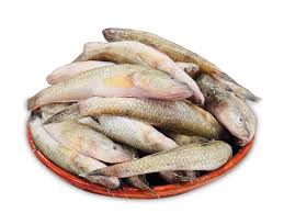 Baila Fresh Local Captured (10-15 Pcs/kg)   per 1kg