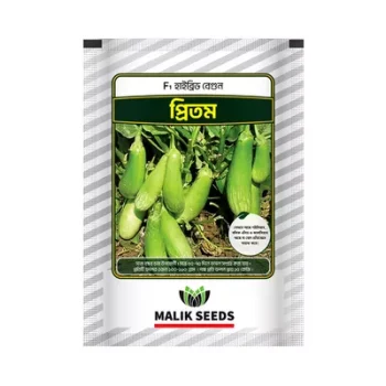 Malik Seeds Begun Beej (Pritam) each