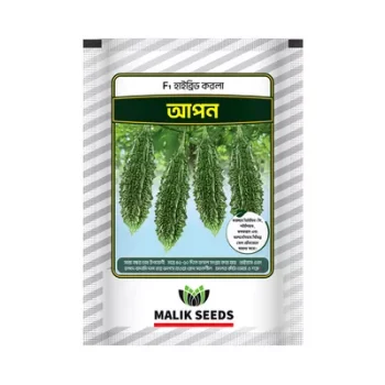 Malik Seeds Boro Korola Beej (Apon) each