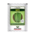 Malik Seeds Chichinga Beej (Asha) each