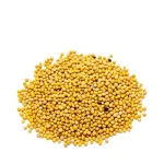 Mustard Seed (Yellow) 100 gm