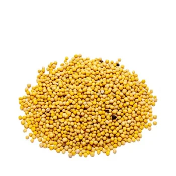Mustard Seed (Yellow) 100 gm