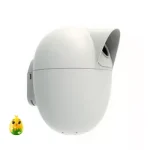 RFL Pakhir Basha (Bird Nest) each