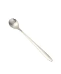 Stainless Steel Pickle Spoon each